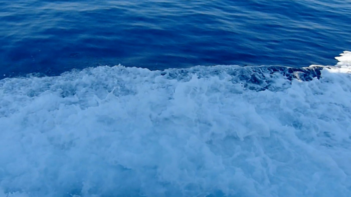 ����������Ƶ�ز�