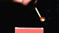 ˲ͷʵƵز
