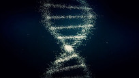 ƼDNA˫ӽṹƵز