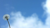 ·紵ѹӢƵز