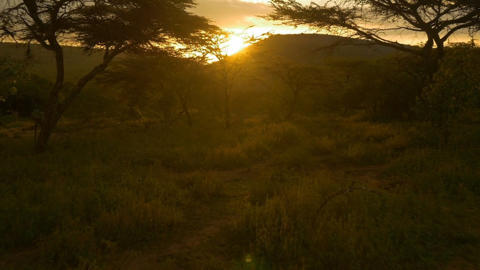 ɽ����ľ�������Ȼ������Ƶ�ز�