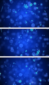 ����ʥ��