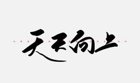 鷨