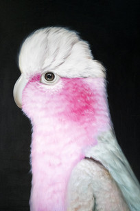 �ֻ��������ر���ǽ