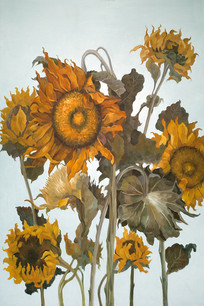 ���տ�д��