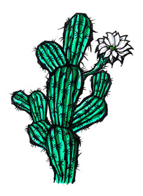 ֻ