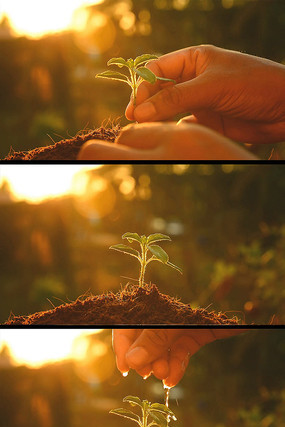 ������Ƶ