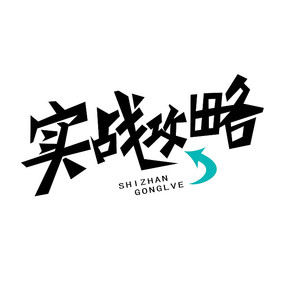 ʵս����������