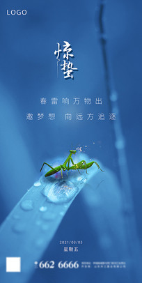 24ݺ