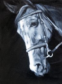 ���ֻ������ͷ�ͻ�ͼ