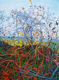 �������������������֮���ͻ�װ�λ�