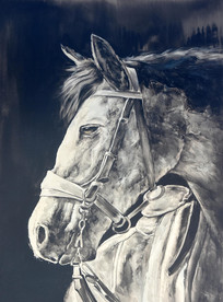 ���崿�ֻ������ɹ��ͻ�ͼ