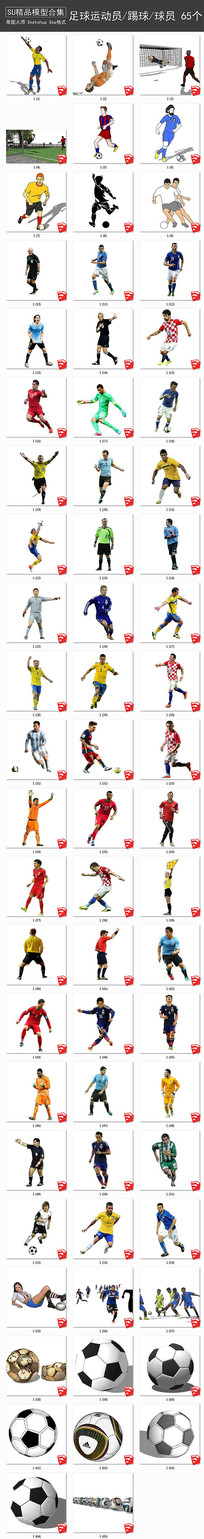 ����SUģ��