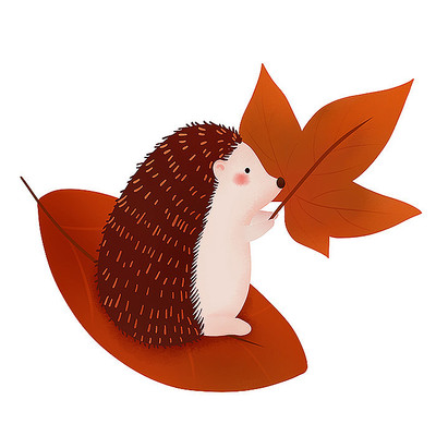 原创卡通动物刺猬秋叶 原创卡通动物刺猬秋叶