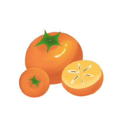 手绘秋天柿子元素 手绘秋天柿子元素