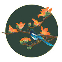 ľ޻