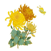 �����ջ��ͺ����廭