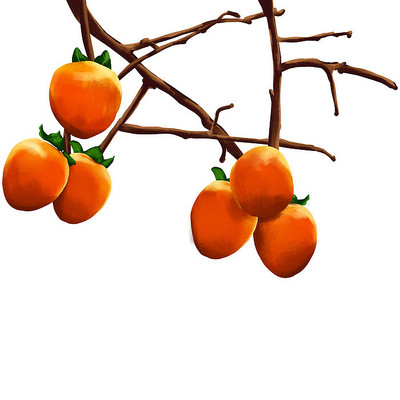 原创立秋树枝上的柿子 原创立秋树枝上的柿子