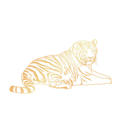 ��ֽ�ϻ�����