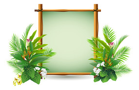 ֲ��ľ��װ��