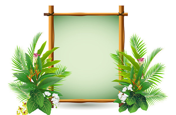 ֲ��ľ��װ��