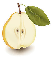ͼƬ