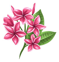 켦ز