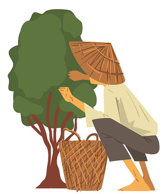 卡通种树人物 卡通种树人物