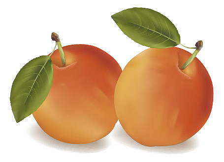 两个红苹果 PNG