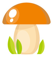 ͨĢ