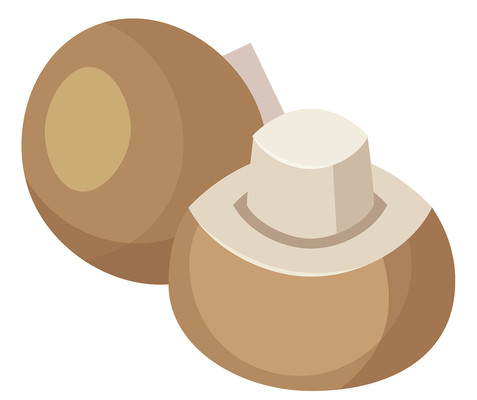 手绘咖色原体物 手绘咖色原体物