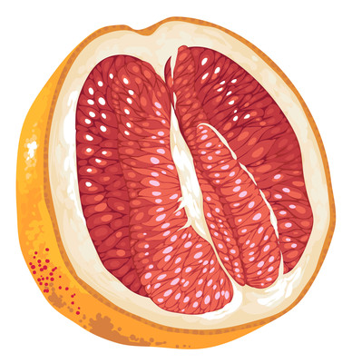 ��ͨ�������