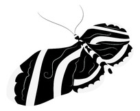 �ڰ׺���ͼƬ