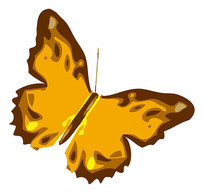 �ֻ濨ͨ��ɫ����ͼƬ