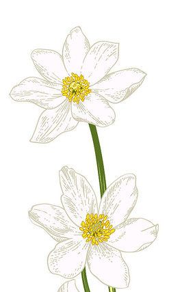 ��֧�׻���ͨװ��