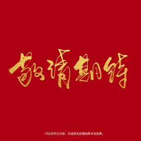 �����ڴ��鷨ë���������