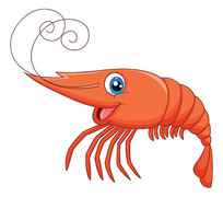 ��ͨ��ɫ��Ϻ