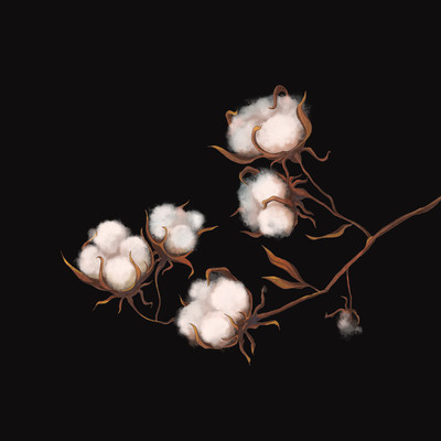 �޻��ز� PSD