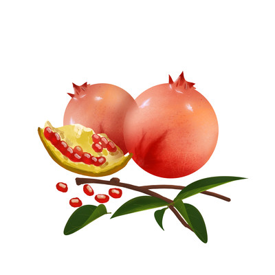 元素石榴PSD 元素石榴PSD