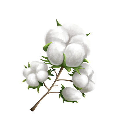 ��¶�޻�дʵ�ز�