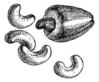 ֻ