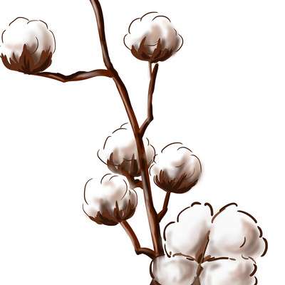 手绘秋天棉花元素 手绘秋天棉花元素