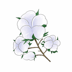 δƷ(28)