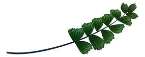 װֲpng