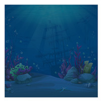 ��������չʾ