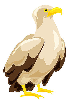 վĿͨӥ