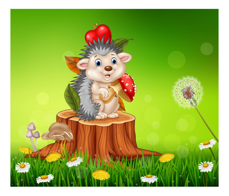 �����⬳����Ű�