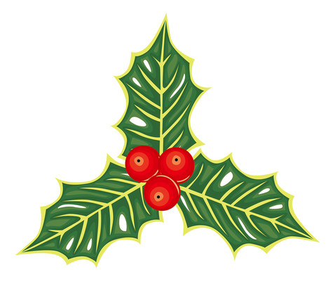 圣诞果子元素 圣诞果子元素