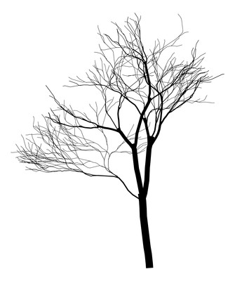 һ�ſ���Ԫ��