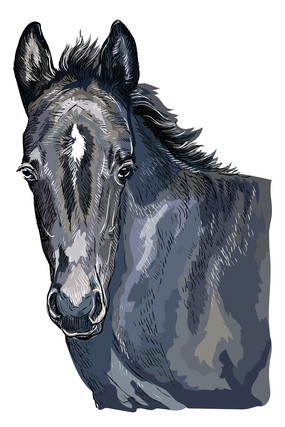 ��ͨ���ε������Ԫ��